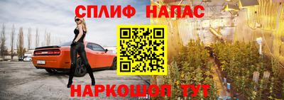 ПСИЛОЦИБИНОВЫЕ ГРИБЫ Тверь