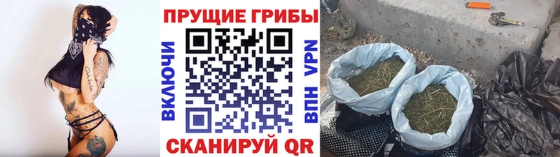 Псилоцибиновые грибы MAGIC MUSHROOMS Советск
