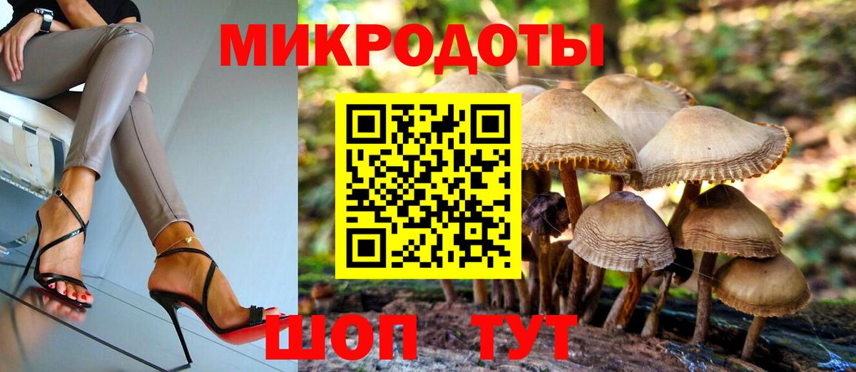 Галлюциногенные грибы GOLDEN TEACHER  Псилоцибиновые грибы Cubensis  Вход с VPN  Советск 